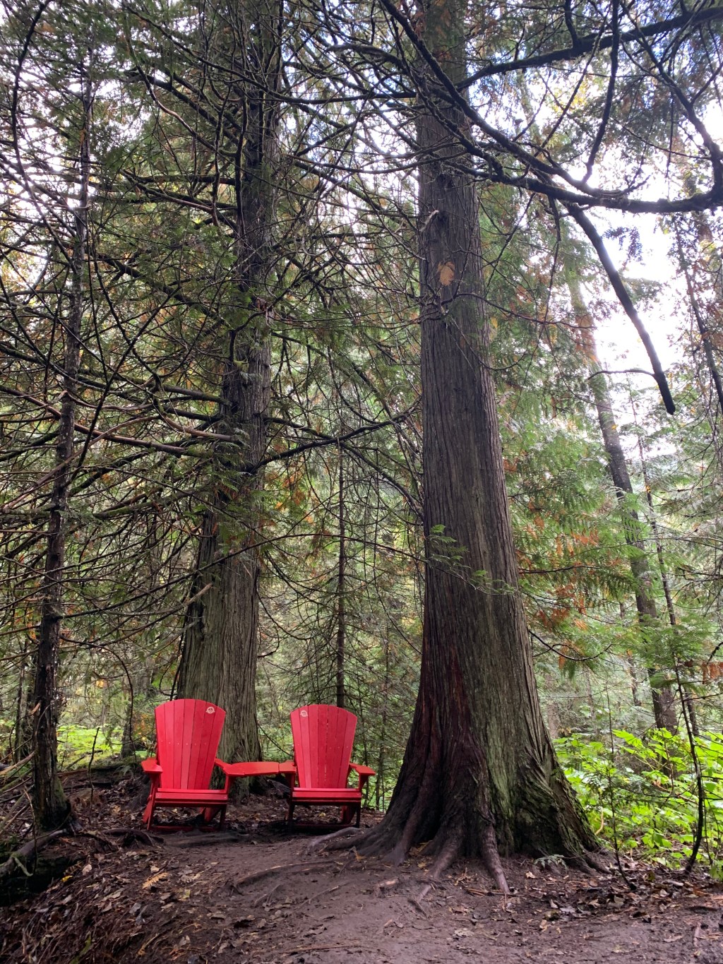 Revelling in Revelstoke