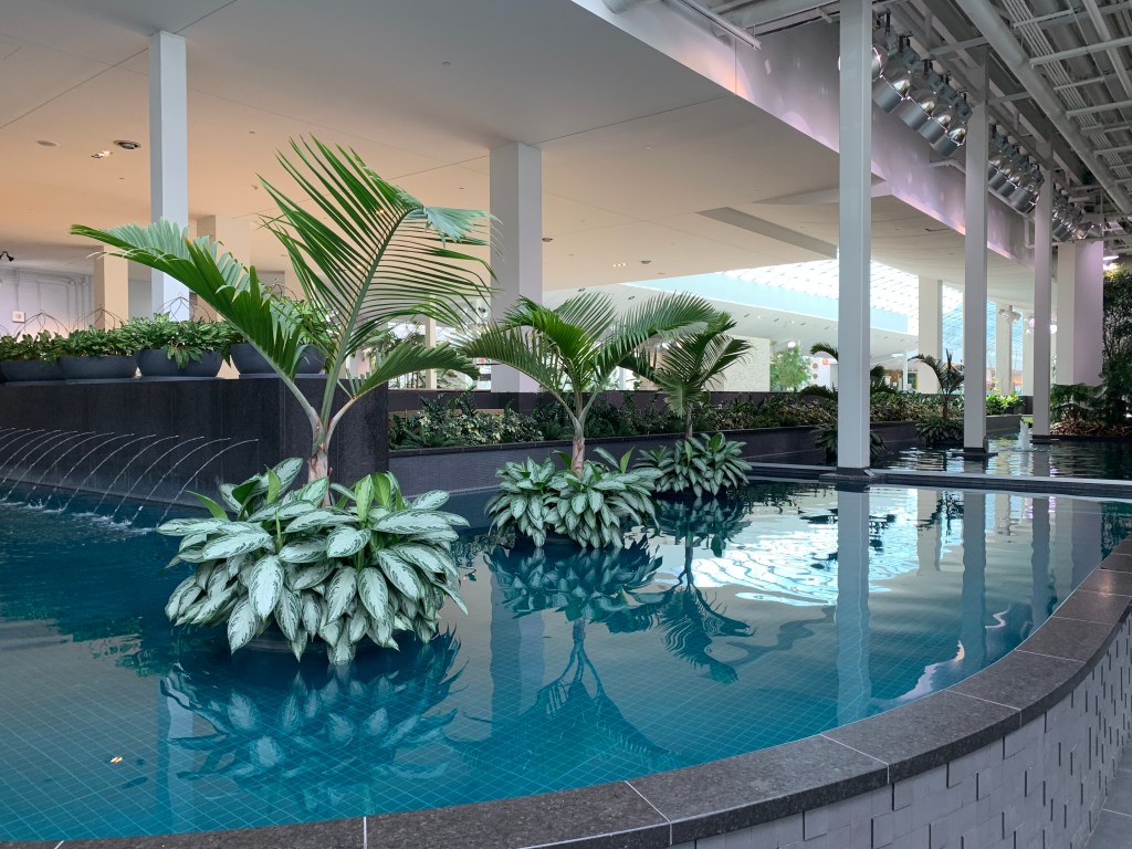 Cowtown our final destination before heading&nbsp;home..