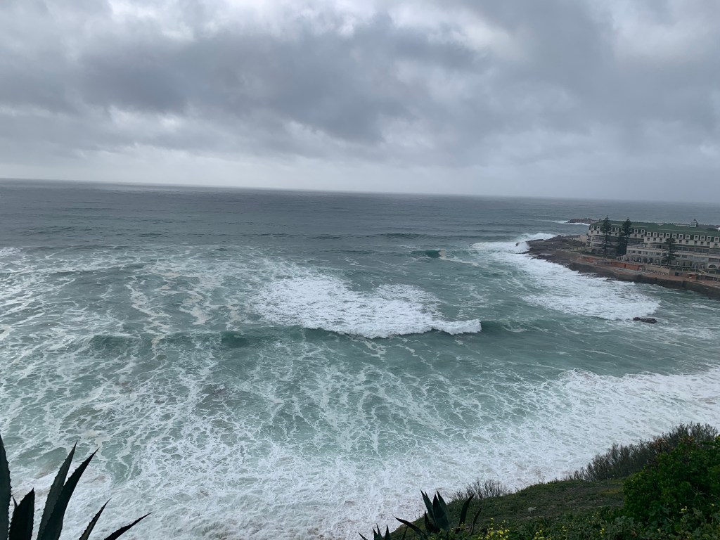 An evening with Afonso the&nbsp;terrible.