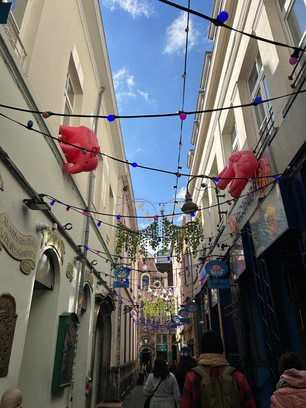 Beautiful Brussels with a surprise concert&nbsp;🎶🎶🎶